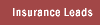 Insurance Leads