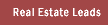 Real Estate Leads