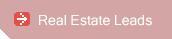 Real Estate Leads